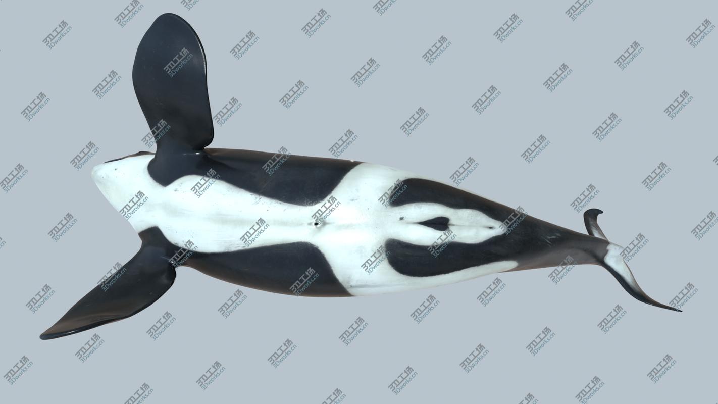 images/goods_img/20210319/Killer whale rigged and animated for Cinema 4d 3D model/4.jpg